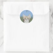 Kitten en Dragonfly stickers (Tas)