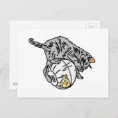 Kitten en Hamster Briefkaart (Voorkant / Achterkant)