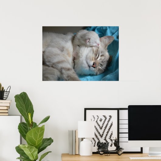 Kitten en moeder poster (Thuiskantoor)