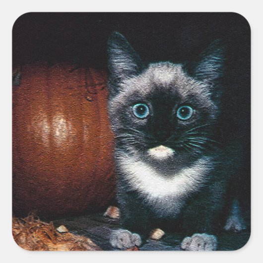 Kitten en pompoen voor Halloween Vierkante Sticker (Voorkant)