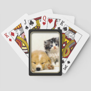 Kitten en Puppy Fotokunst Speelkaarten