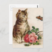 Kitten en vlinder briefkaart (Voorkant / Achterkant)