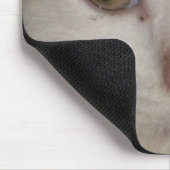 kitten face 1 mousepad muismat (Hoek)