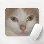 kitten face 1 mousepad muismat (Met muis)