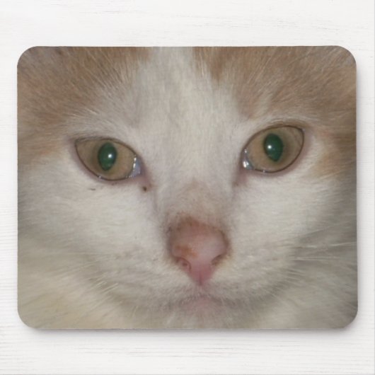 kitten face 1 mousepad muismat (Voorkant)