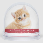 Kitten First Christmas Photo (Avant)