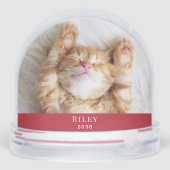 Kitten First Christmas Photo (Arrière)