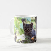 Kitten Foto Baby Cat ,Wit 325 ml Classic Mok (Voorkant links)