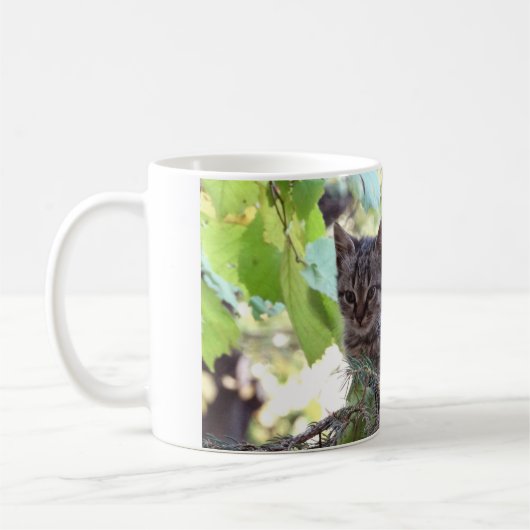 Kitten Foto Baby Cat ,Wit 325 ml Classic Mok (Links)