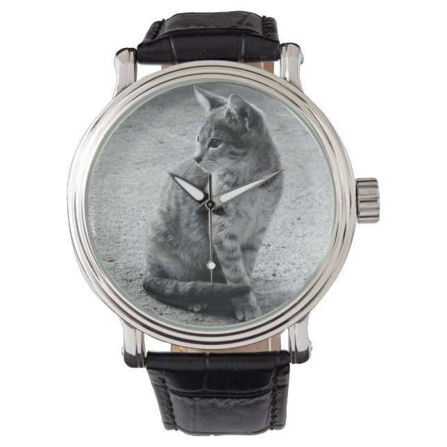 Kitten fotohorloge horloge (Voorkant)