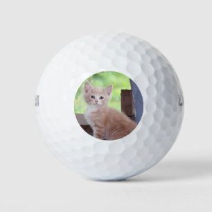 Kitten Golfballen