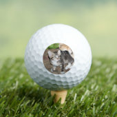 Kitten Golfballen (Insitu Shirt)