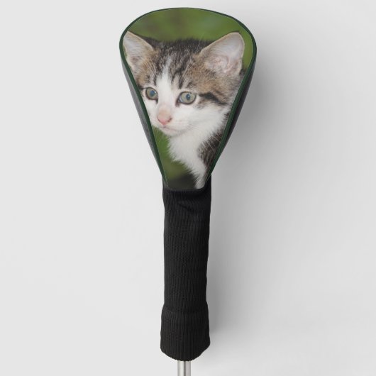 Kitten Golfheadcover (Voorkant)