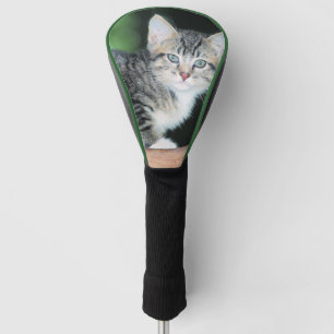 Kitten Golfheadcover