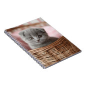 Kitten gris en Carnet panier (Côté Droit)