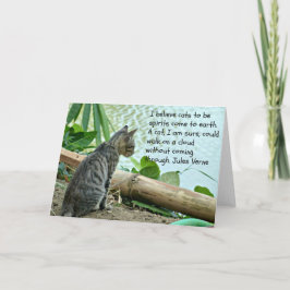 Kitten Groeten Kaart met Quote