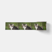 Kitten Grosgrain Lint (Voorkant)