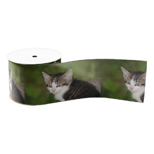 Kitten Grosgrain Lint