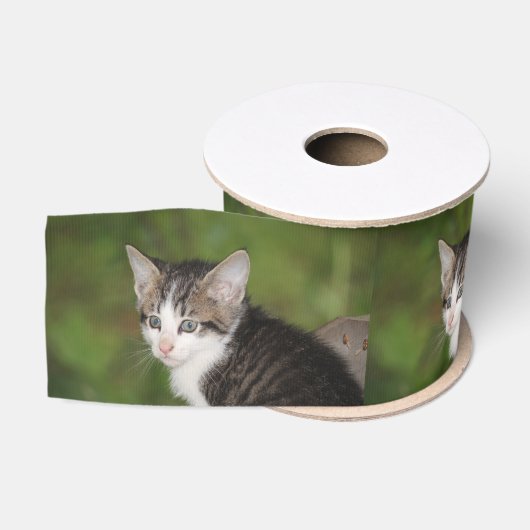Kitten Grosgrain Lint (Spoel)