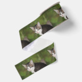 Kitten Grosgrain Lint (Achterkant)