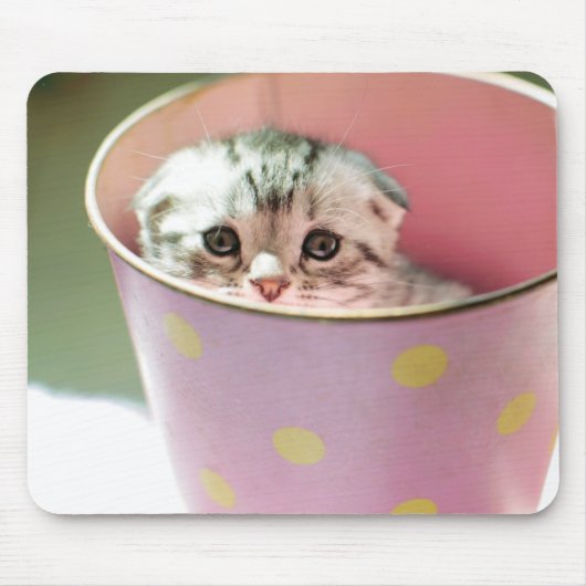 Kitten Hiding Muismat (Voorkant)
