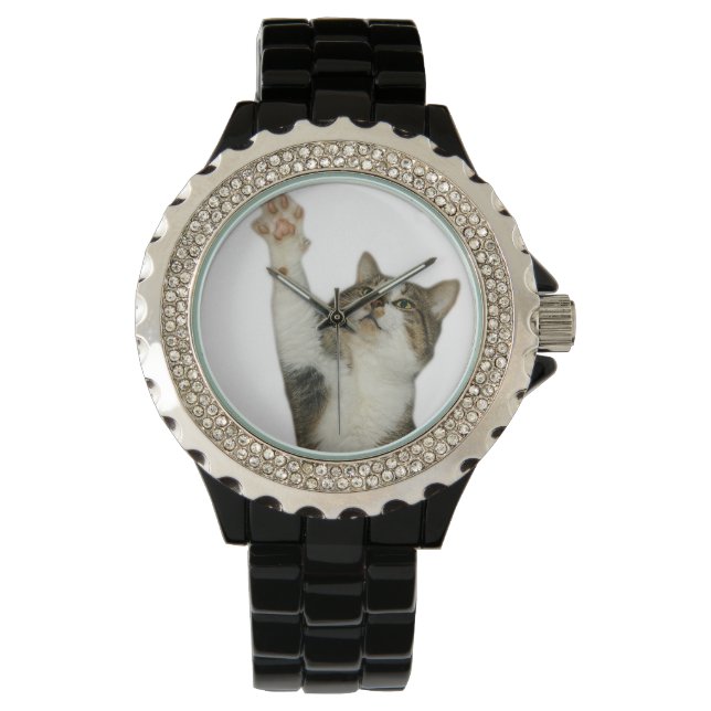 Kitten Horloge (Voorkant)