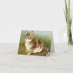  Kitten Illustratie met bloemen