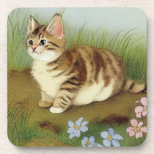 Kitten Illustratie met bloemen Bier Onderzetter