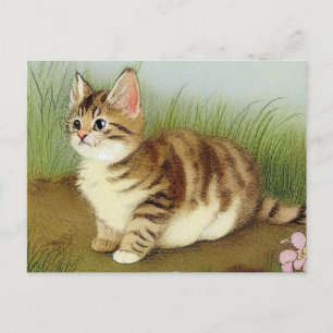  Kitten Illustratie met bloemen Briefkaart
