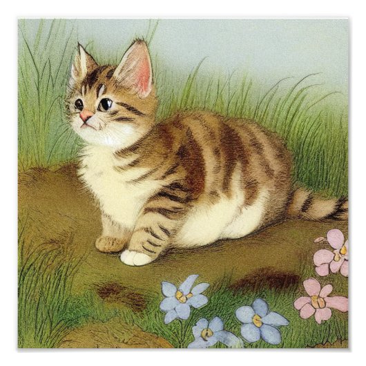 Kitten Illustratie met bloemen Foto Afdruk (Voorkant)