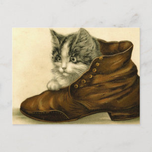kitten in de schoen briefkaart