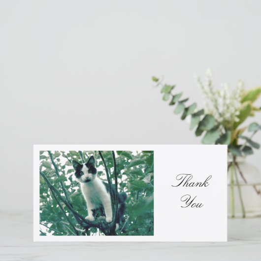 Kitten in een Apple-boom - Dank u Bedankkaart (Staand voorkant)