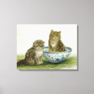 Kitten in een Blue China Bowl Canvas Afdruk