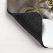 Kitten in een Box mousepad Muismat (Hoek)
