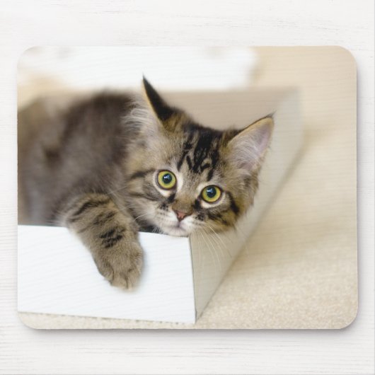 Kitten in een Box mousepad Muismat (Voorkant)