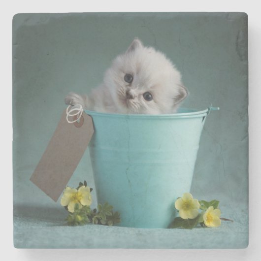 Kitten in een Bucket Stenen Onderzetter (Voorkant)