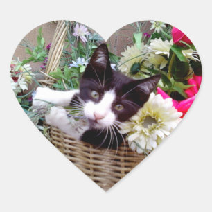 Kitten in een mand hart sticker