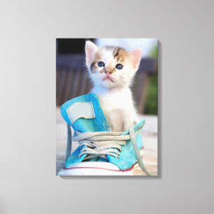 Kitten in een schop canvas afdruk
