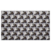 Kitten in een schop stof (Fat Quarter)