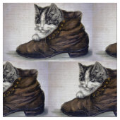 Kitten in een schop stof (Close Up)