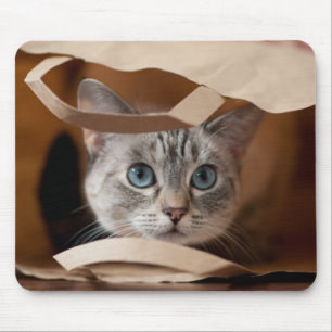 Kitten in Grocery Bag Muismat