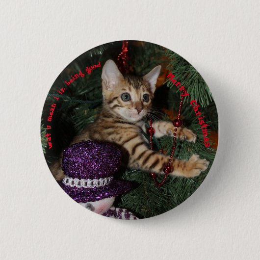 Kitten in kerstboom ronde button 5,7 cm (Voorkant)
