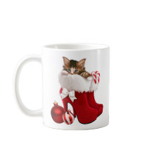 Kitten in kerstschoenen