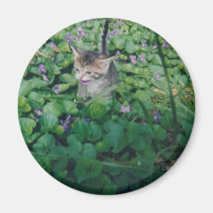 Kitten in Violets magnet Magneet