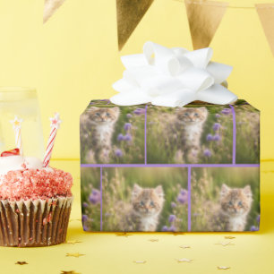 Kitten in Wildflower veld Cadeaupapier