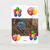 Kitten Kaart (Achterkant)