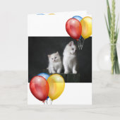 Kitten Kaart (Voorkant)