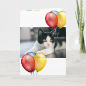 Kitten Kaart (Voorkant)