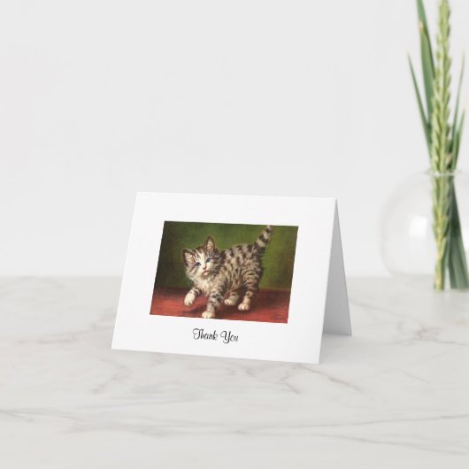  Kitten Kaart Wenskaart (Voorkant)