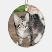 Kitten Keramisch Ornament (Links)